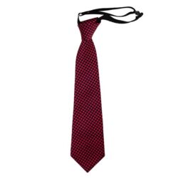 کراوات مردانه طرحدار کد 27